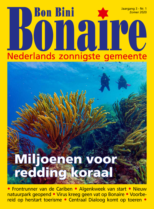 Cover Bbb 2020 Nr. 1