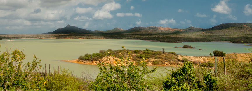 Natuur Bonaire