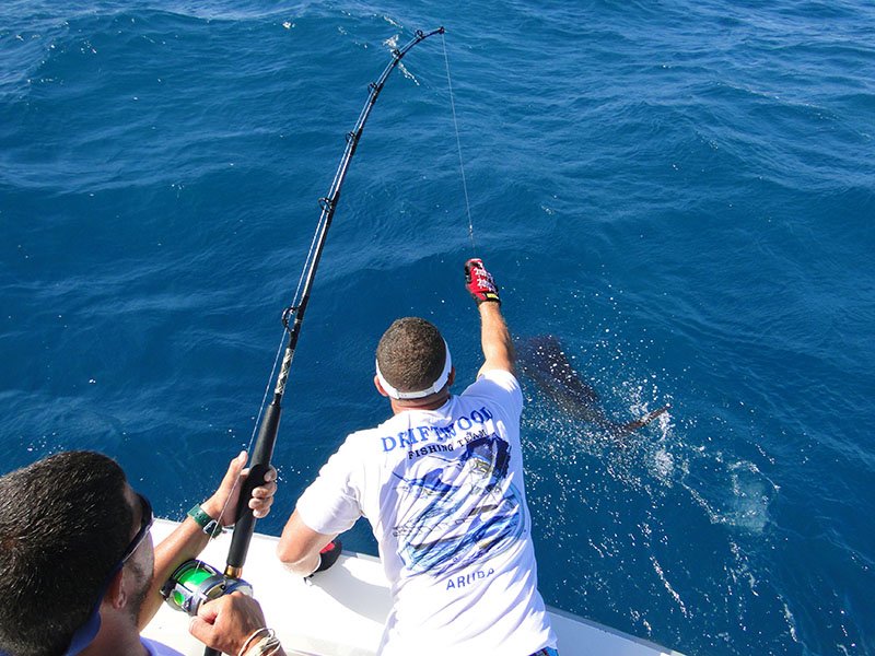 Fishing In Aruba