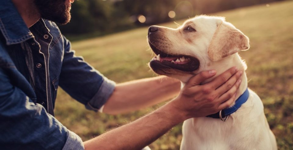 Bigstock Man With Dog