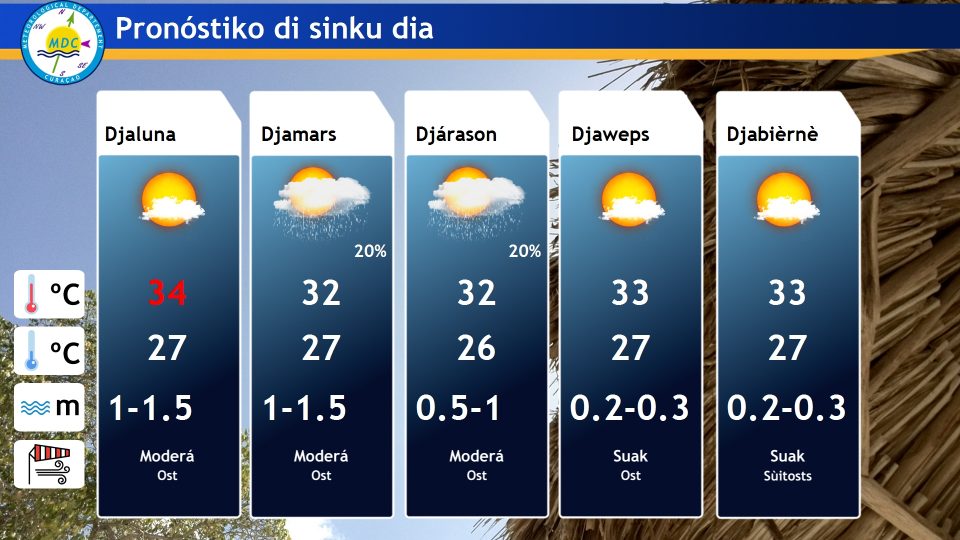 5 Day Forecast Pap