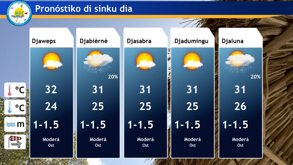 5 Day Forecast Pap