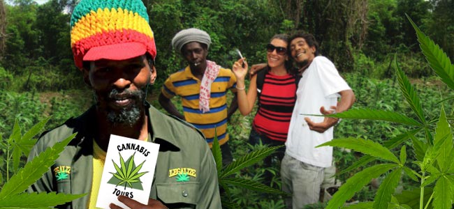 Marijuanas Future Prospects In Jamaica