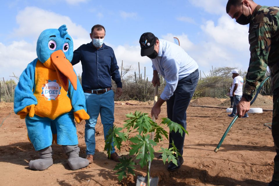 Gobernador Di Aruba Boekhoudt 1