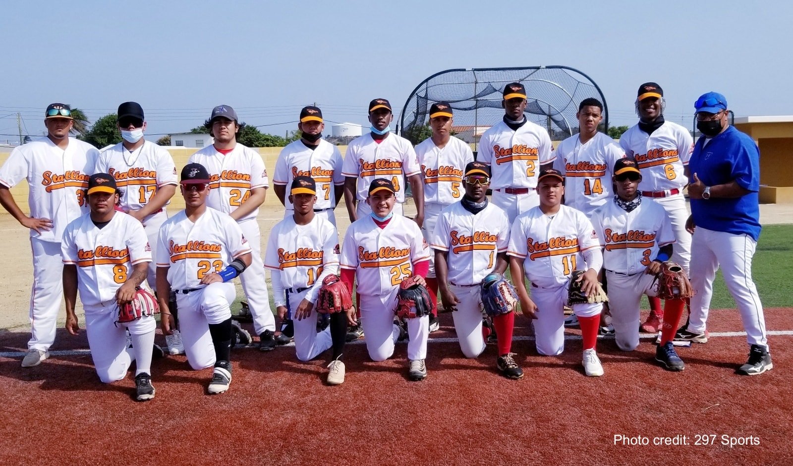 Team Hammersharks Big League