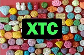 Xtc