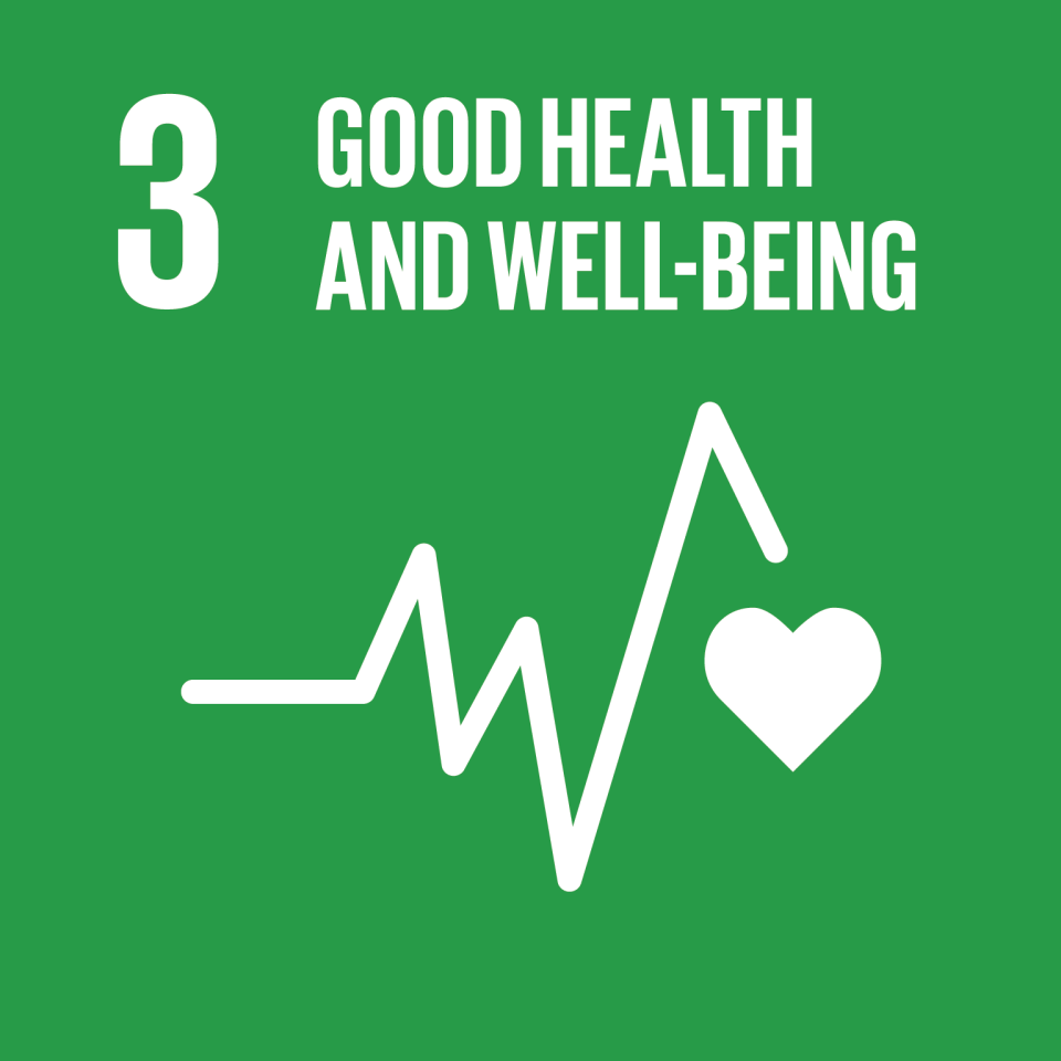 Sustainable Development Goal 3