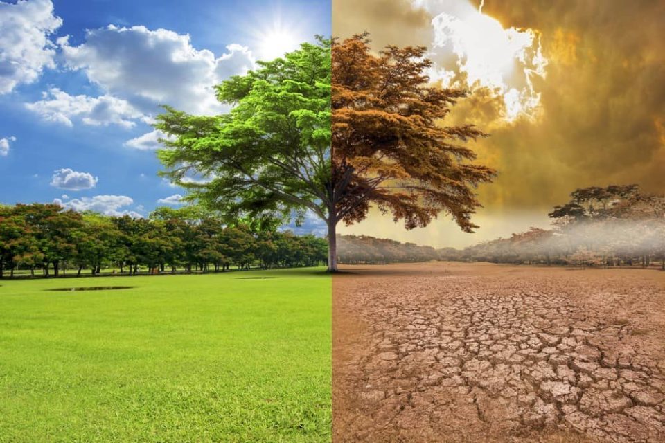 Cambio Climatico Causas Consecuencias 2