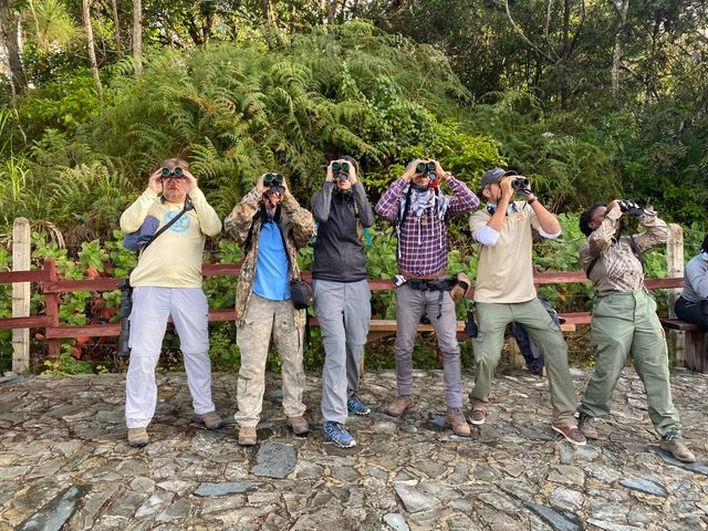 Birdscaribbean Landbird Monitoring Workshop 1