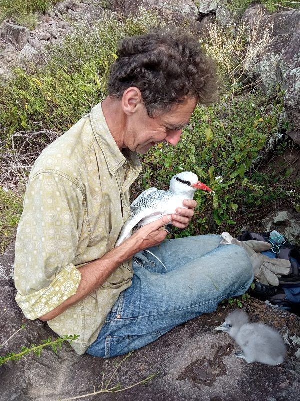 Michiel Boeken With Tropicbird And Chick Lara Mielke Photo1