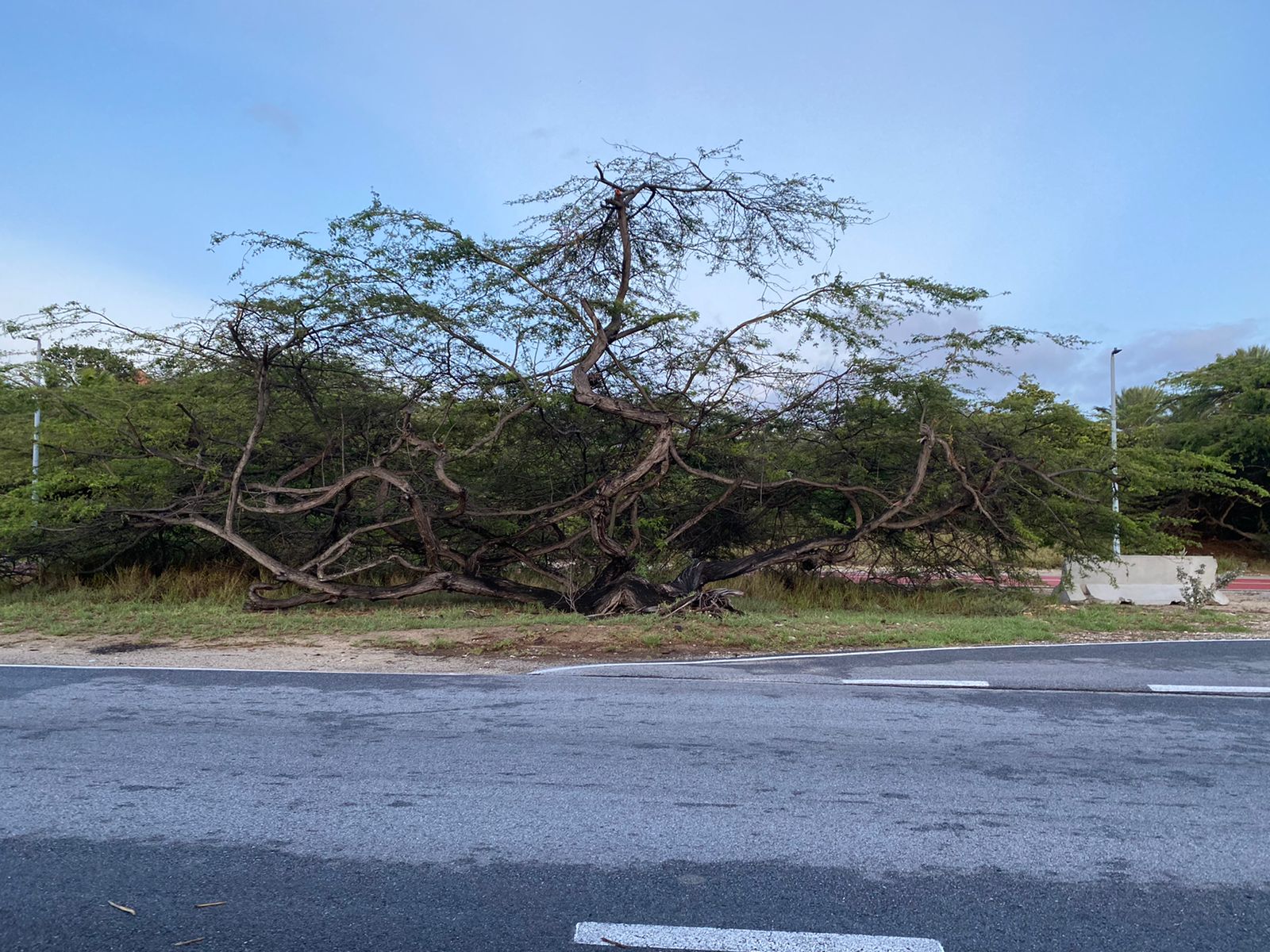 Aruba Despues Di Awacero 49