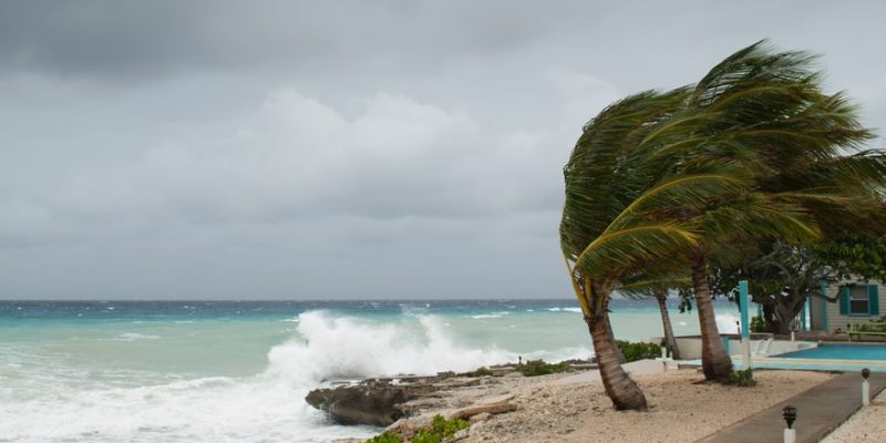 Ola Tropical Activo Oost Di Islanan Mas Zuidoost Di Caribe