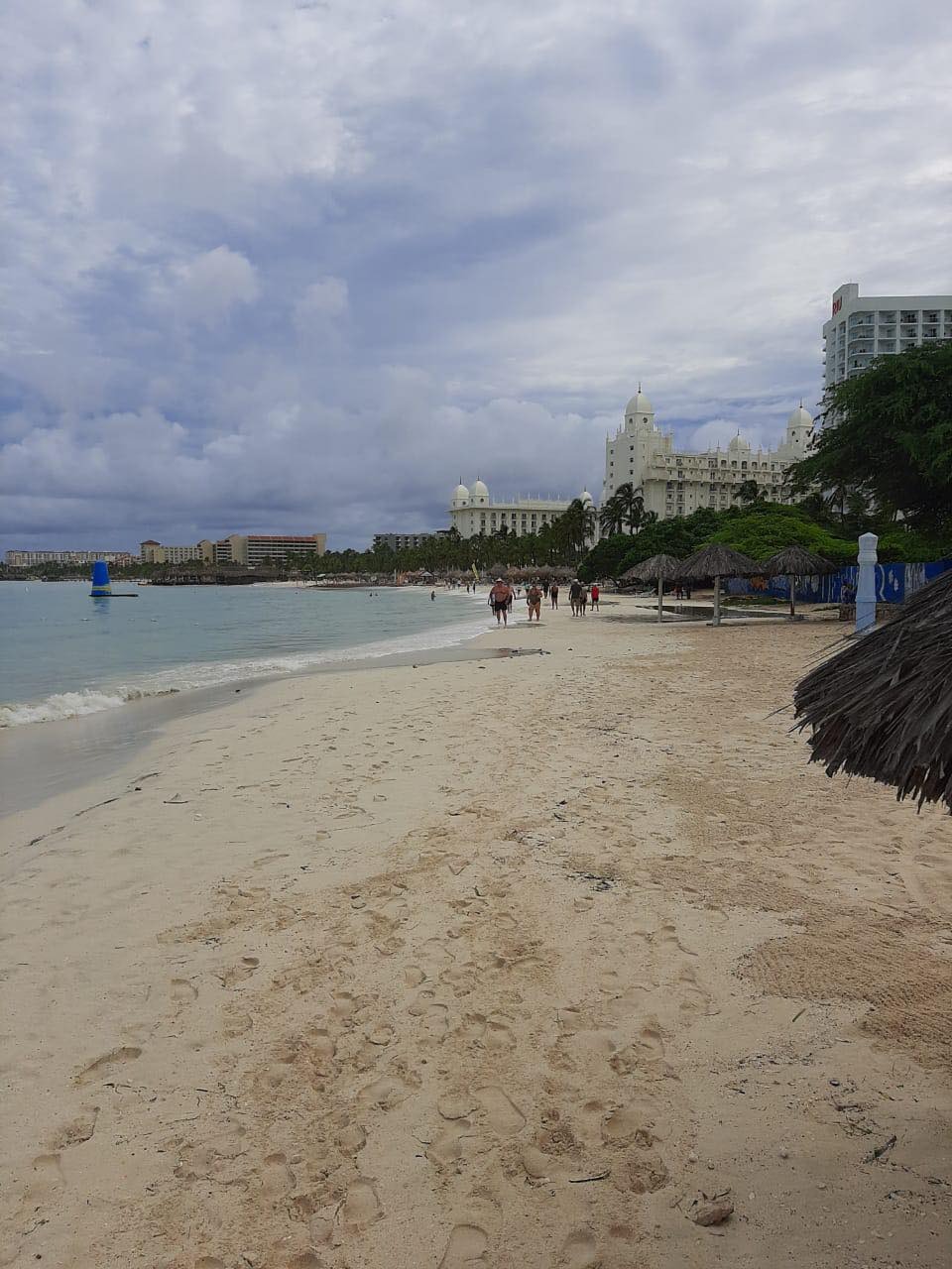 Beach Cleaning Tumando Lugar 2