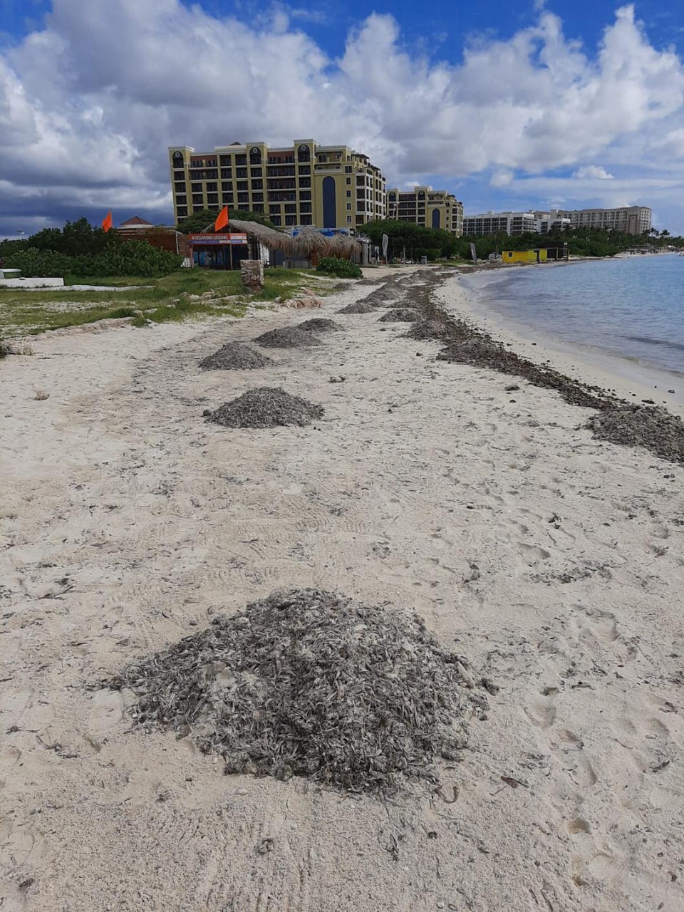 Beach Cleaning Tumando Lugar 6