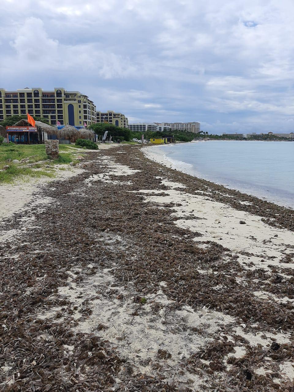 Beach Cleaning Tumando Lugar