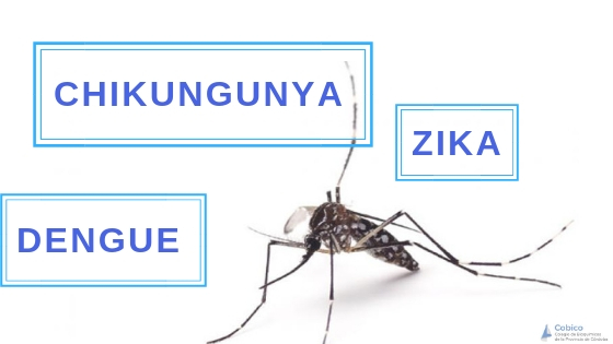 Dengue Chikungunya I Zika 1