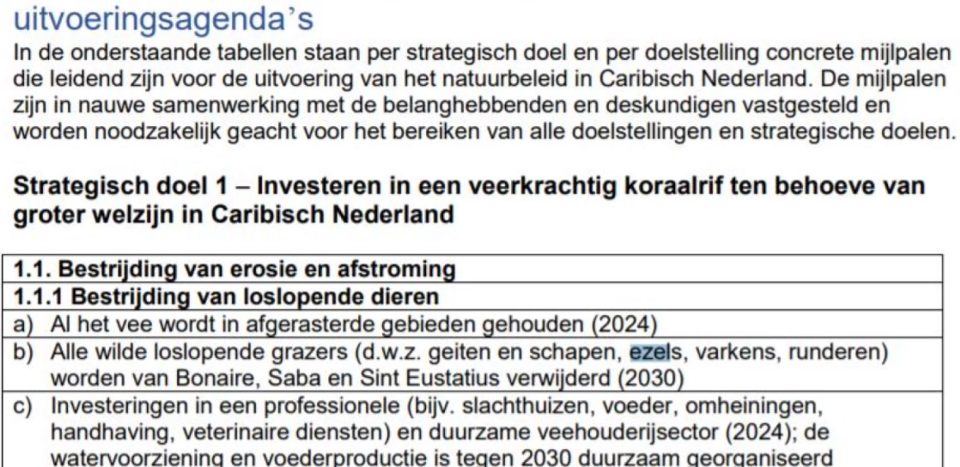 Rapport 2