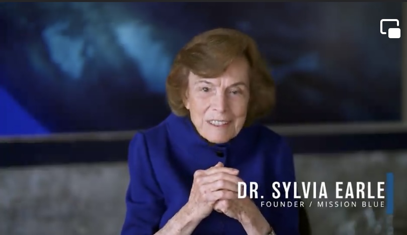 Dr. Sylvia Earle Of Mission Blue