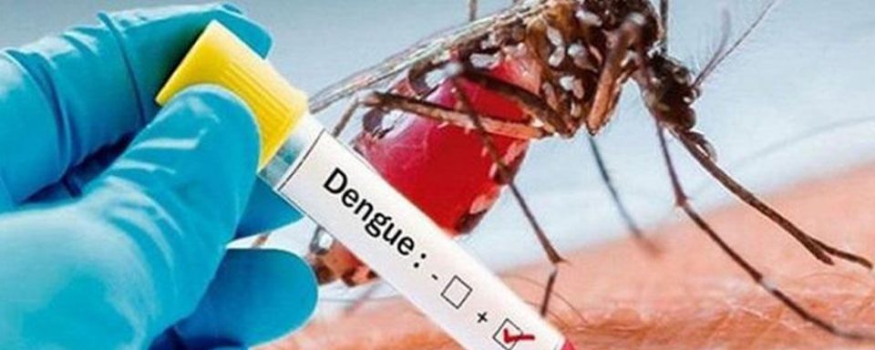 Dengue