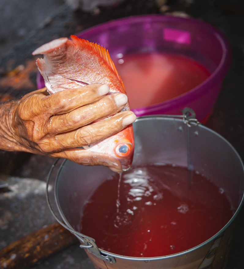 Exhibicion ‘Oda Na E Piscador Ta Presenta E Storianan Di Pesca Di Rancho.2