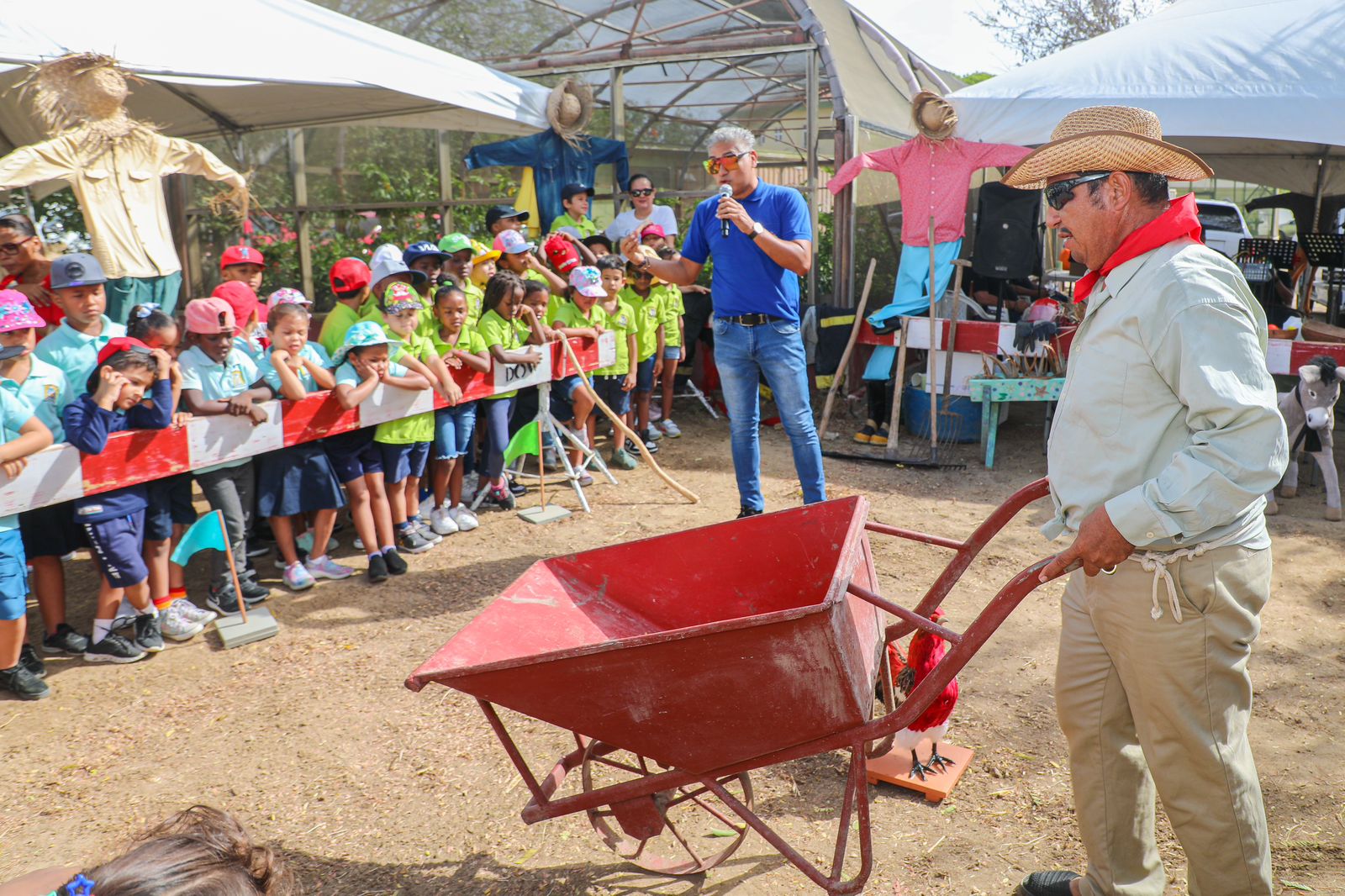 Proyecto Escolar San Juan Santa Rosa 15