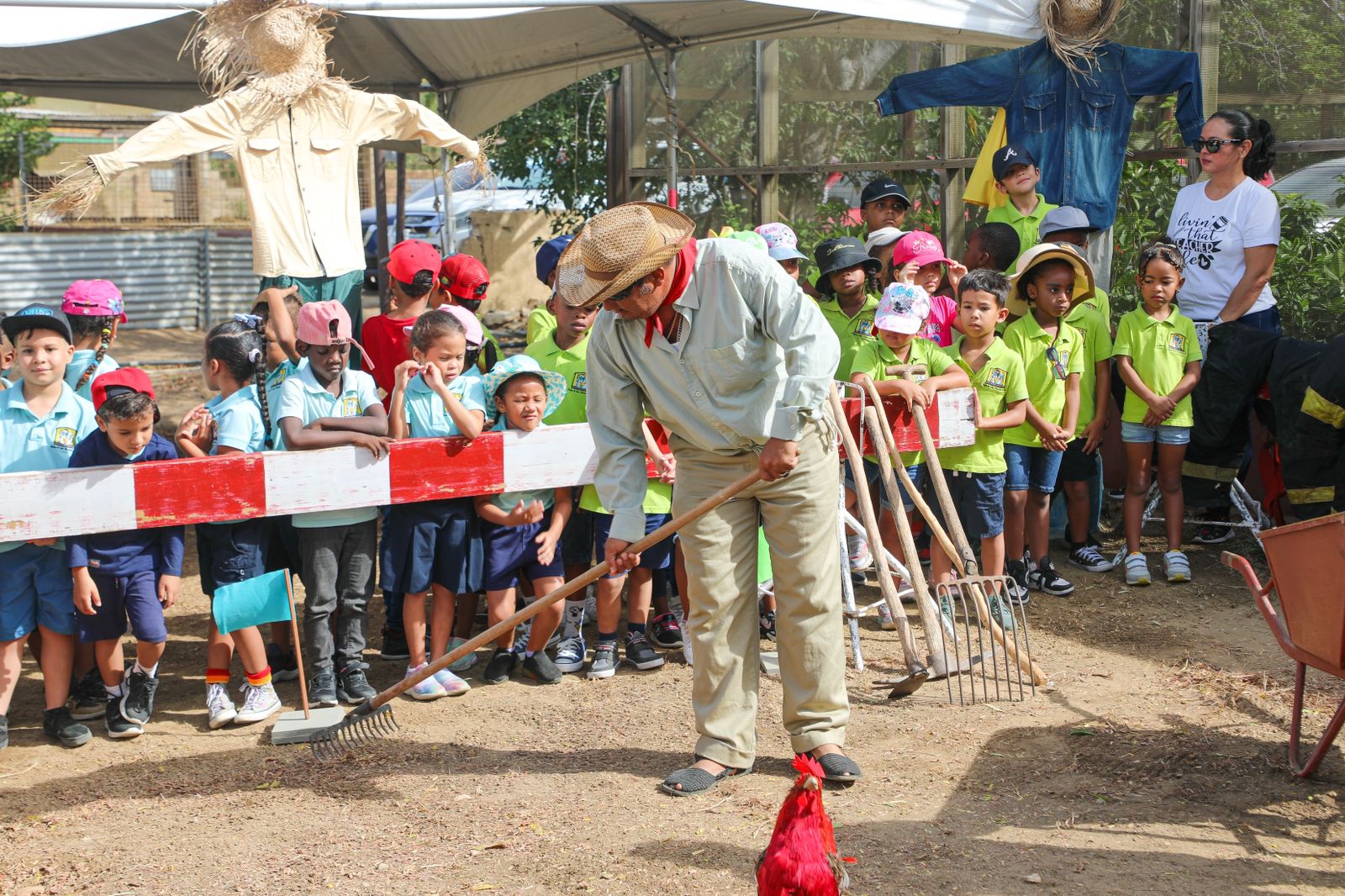 Proyecto Escolar San Juan Santa Rosa 16