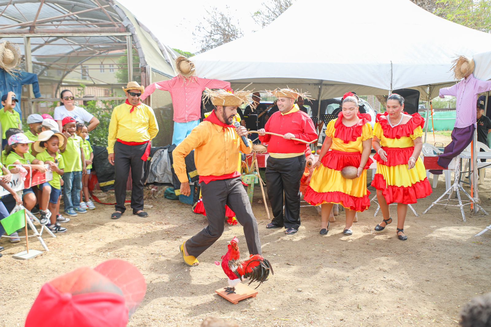 Proyecto Escolar San Juan Santa Rosa 20