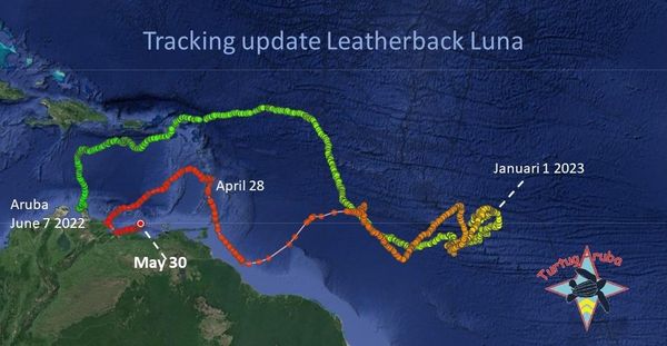 Driekiel Luna A Regresa Caribe