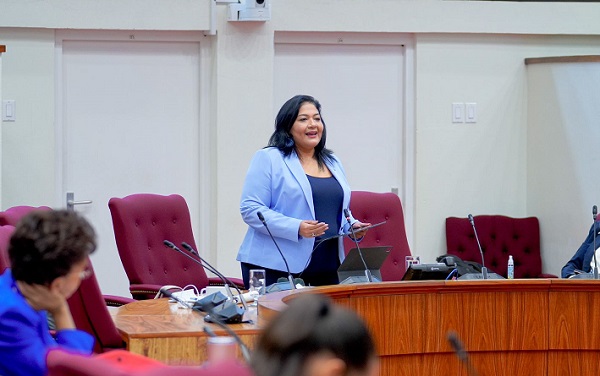 Minfic Na Parlamento