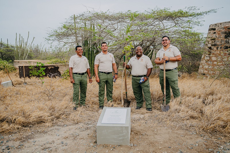 Rangers Plantando Matanan Nativo Di Aruba.6