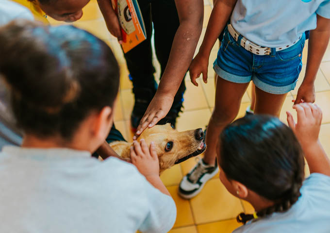 Aruba Bank Sponsored The Snoop Doggy Foundation Book 3