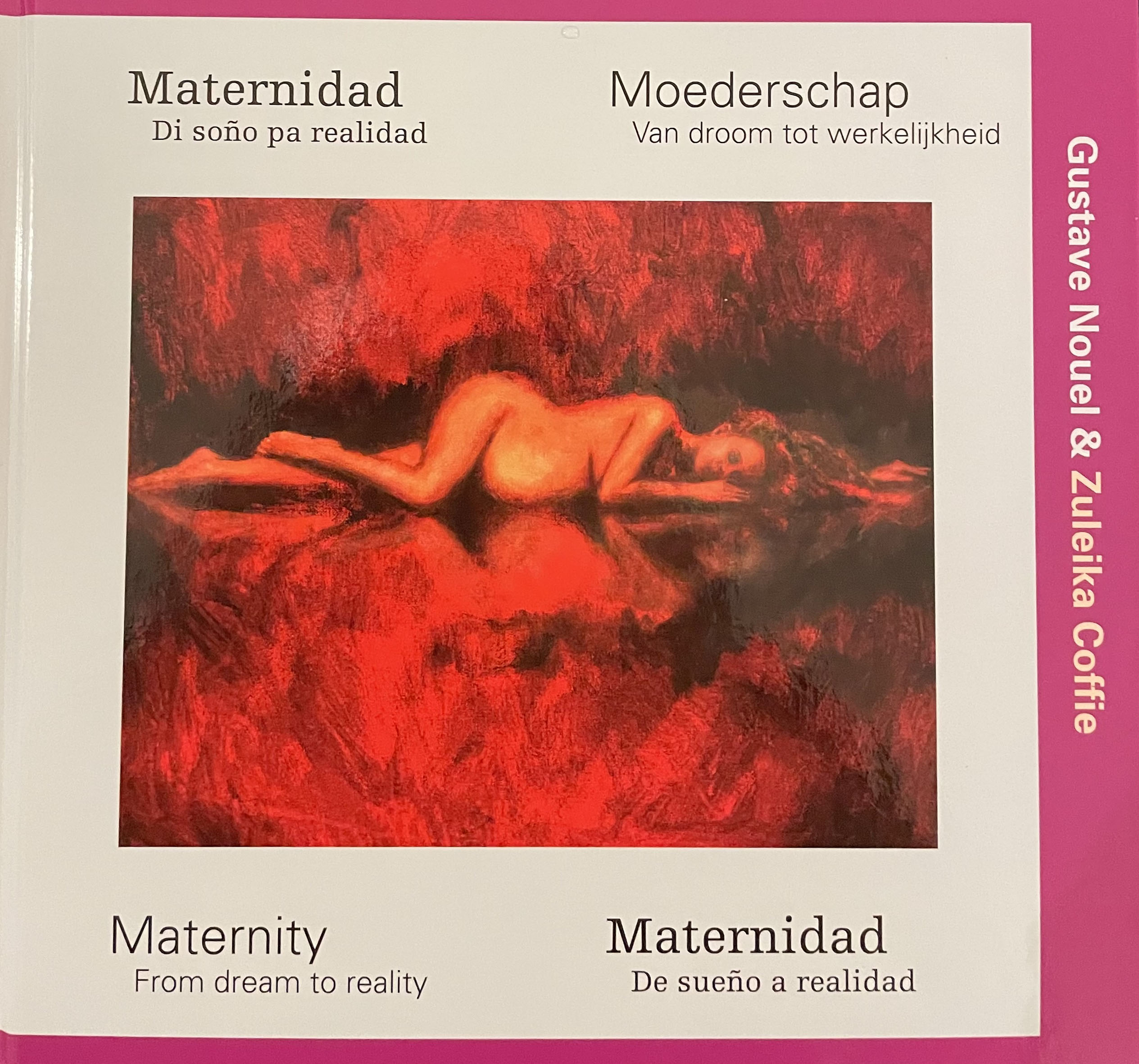 Boek Maternity