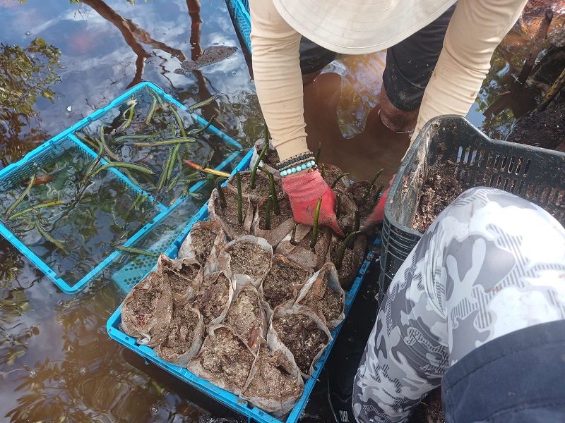 Comparti Conocemento Y Experencia Ta Esencial Pa Trabou Di Conservacion Y Restauracion.2