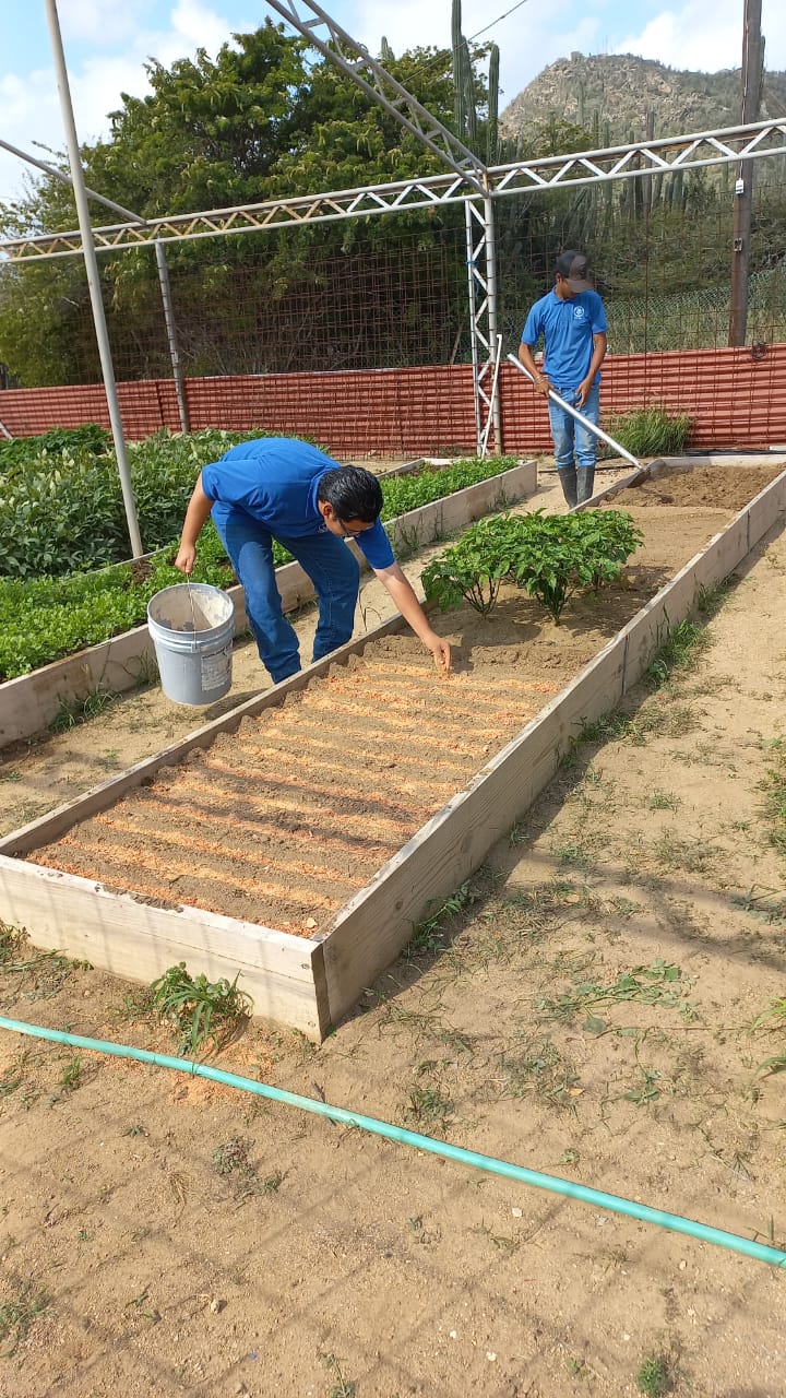 Cooperacion Estrecho Santa Rosa Y Stagiairnan Di Spo 1