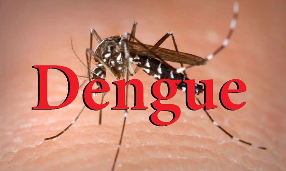 Casonan Sospechoso Di Dengue Ta Subiendo Na Aruba