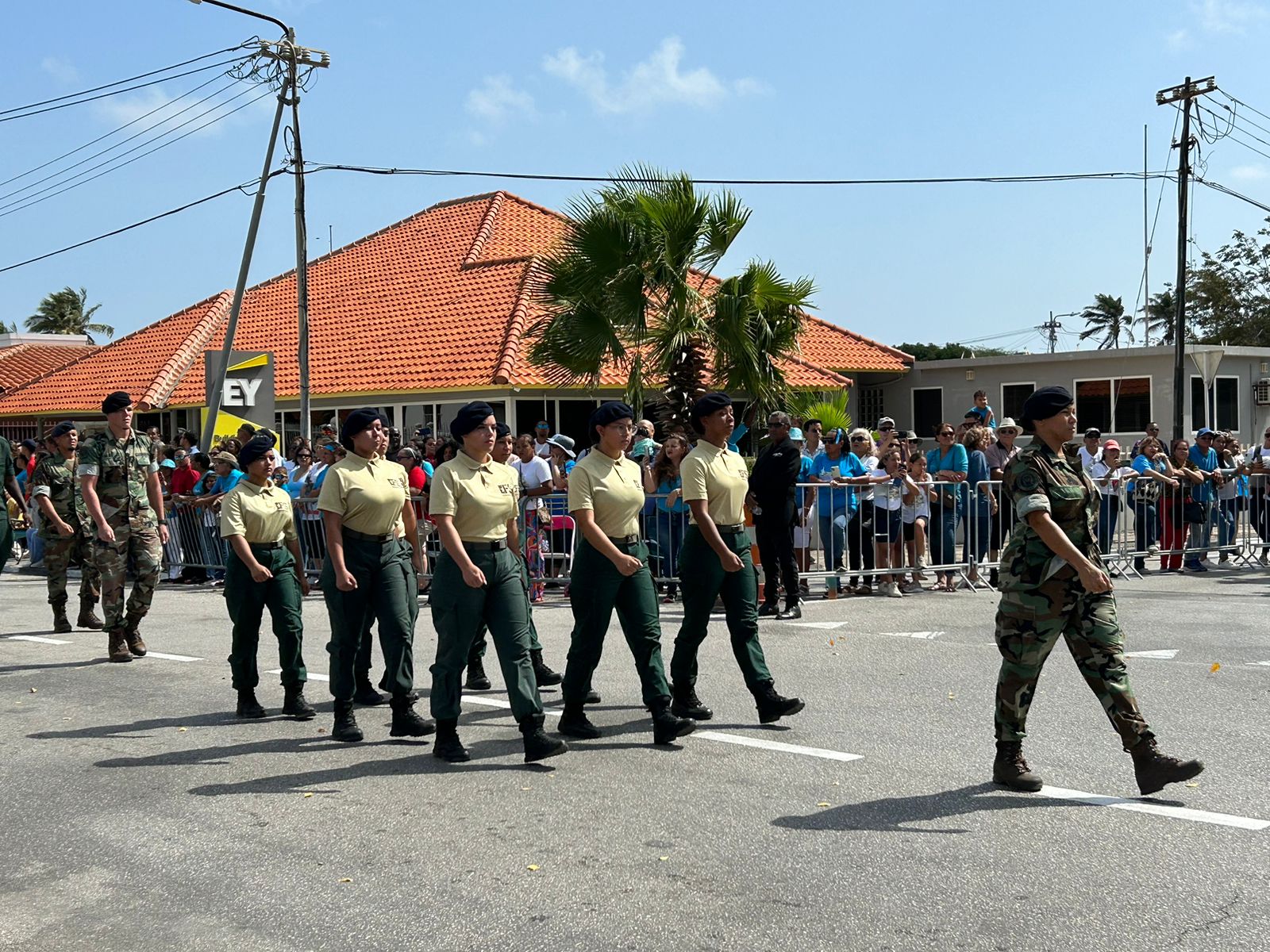 Marcha Prtocolario 11