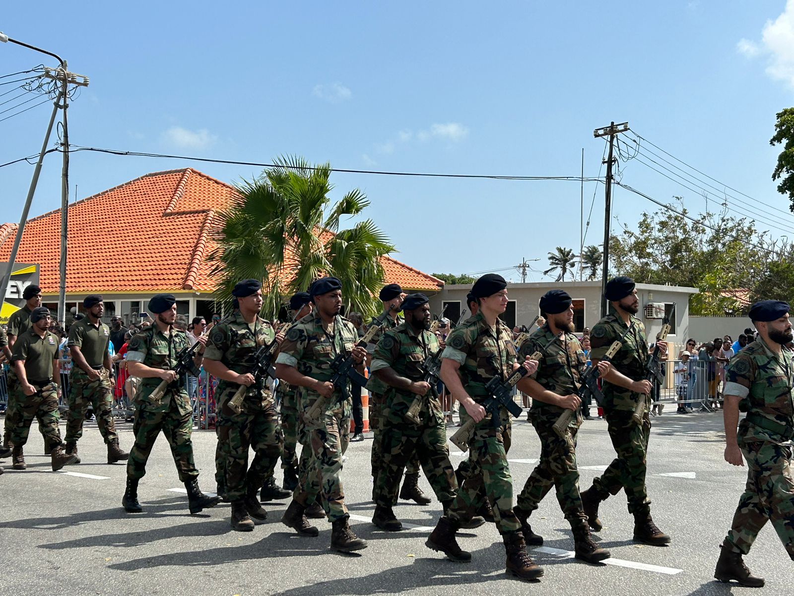 Marcha Prtocolario 8