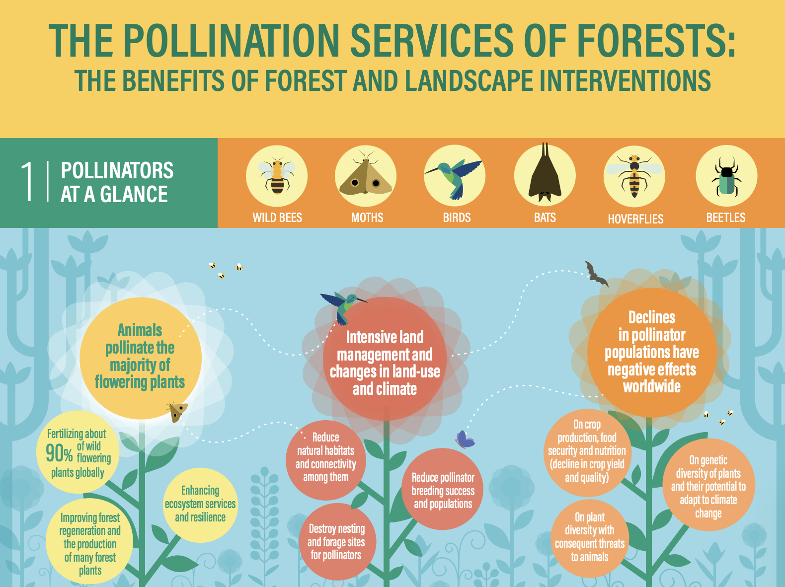 The Pollinations Services Of Forests 060655