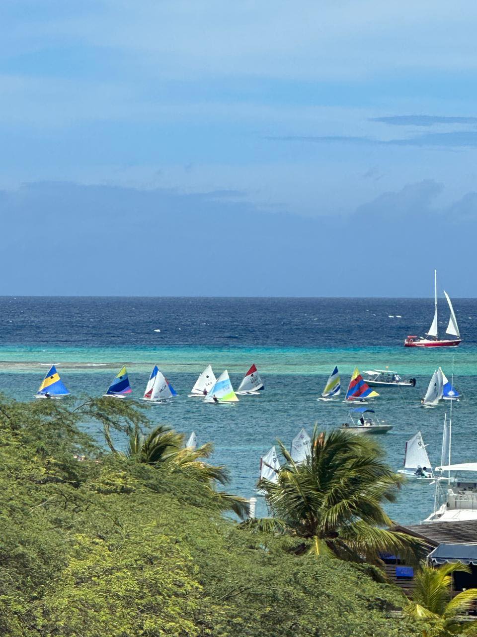 Aruba International Regatta 32