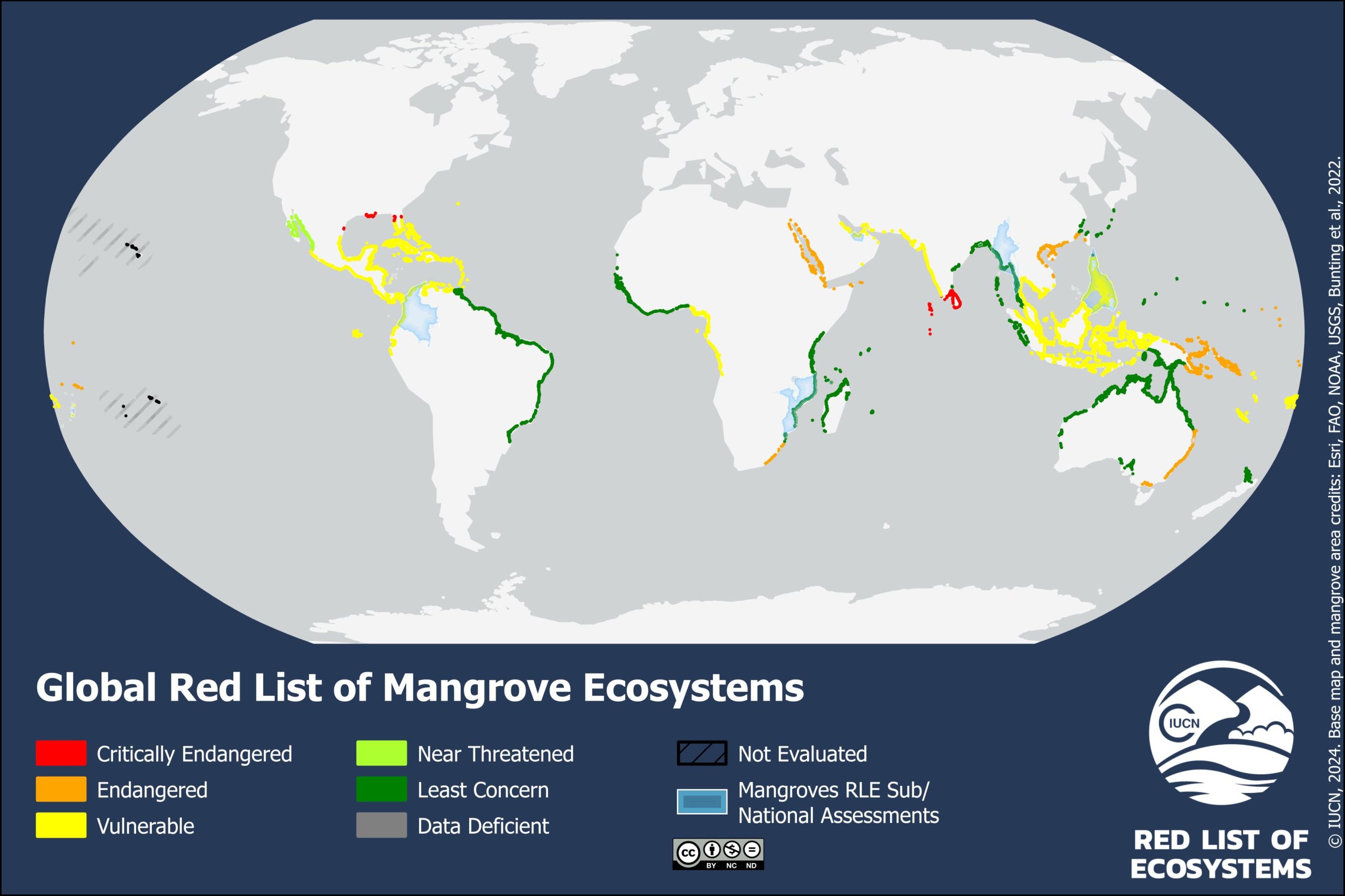 Global Mangrove Rle L4 Robinson 10X15 2 Scaled