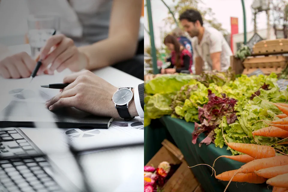 5 Los Trabajadores En El Mercado Formal E Informal Del Pais