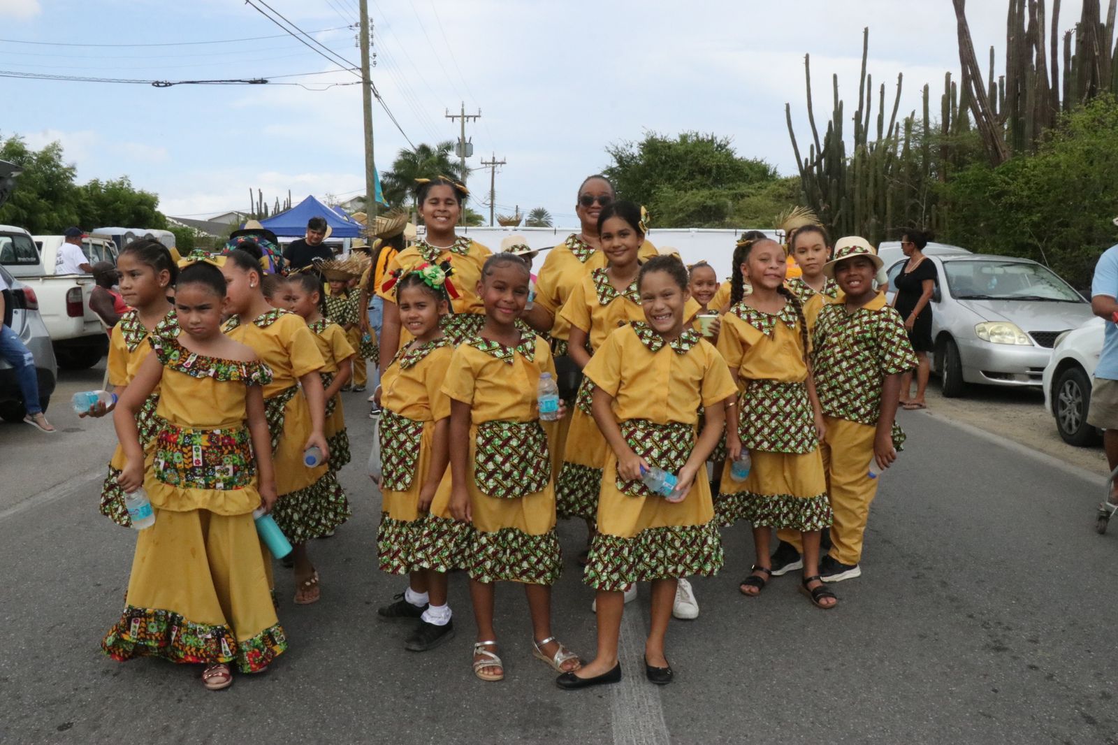 Parada Cultural 14