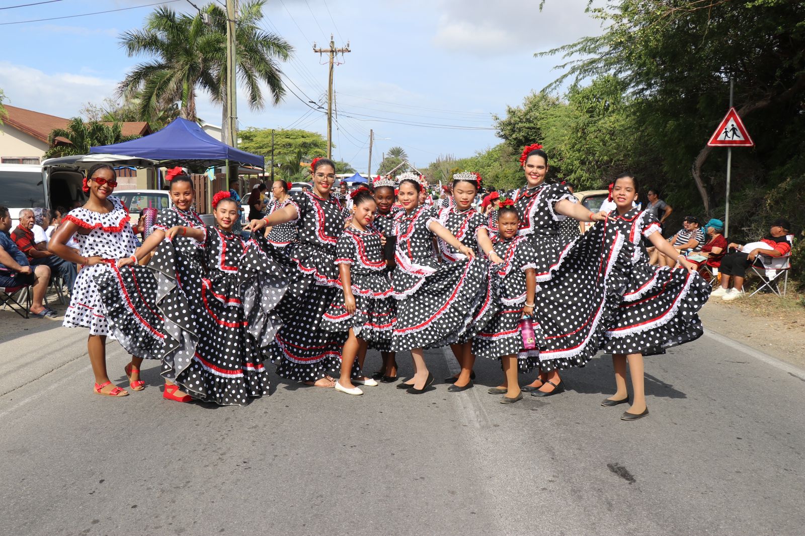 Parada Cultural 20