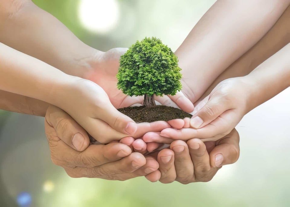 Cuidar El Medio Ambiente