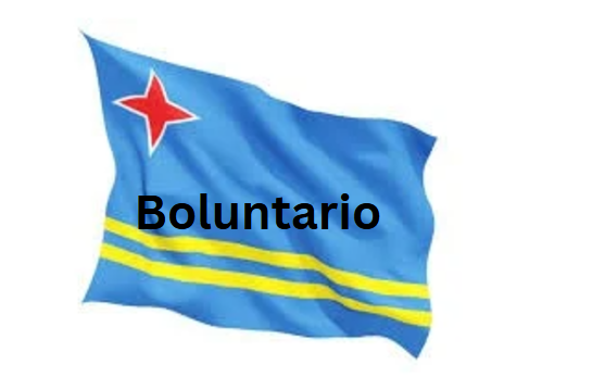 Boluntario